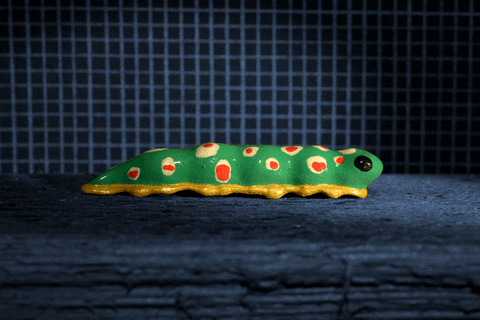 inch worm stop motion moving forward